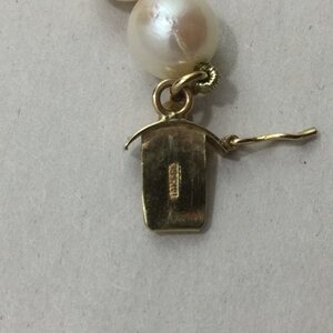 B005D931-FA78-4DC7-82EC-F70A70CAD22A.jpeg