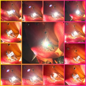 0E27CEC3-EE74-4E1D-A6D8-4442514D2394.jpeg