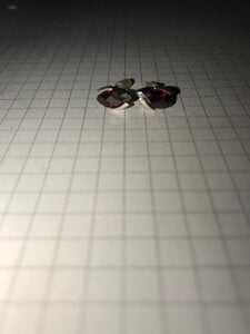 IMG_0031.jpeg