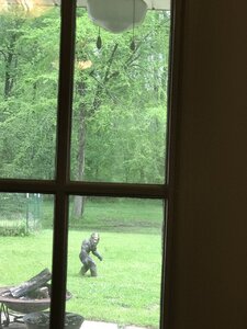 7D8D3B35-0343-431B-99B3-EAC35ECF5CA1.jpeg