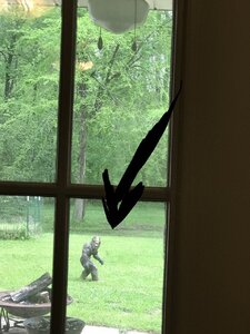 C37C962C-3B5A-4592-BC59-9F21843F9577.jpeg