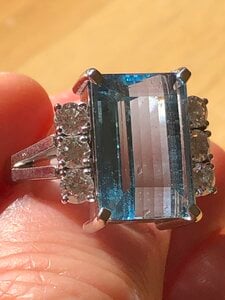 IMG_7535.jpeg