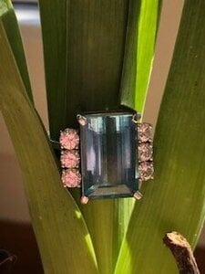 IMG_7542.jpg