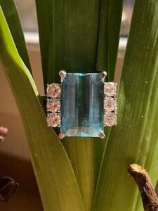 IMG_7541.jpg