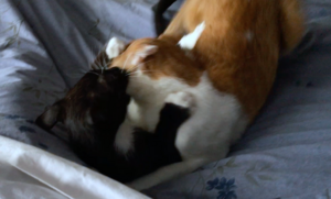 oliverandgraciemessingaround.png