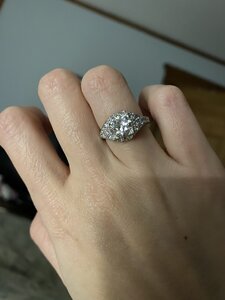 IMG_2031.jpg