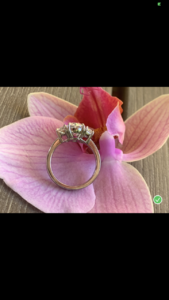 IMG_5286.PNG IMG_5286.PNG