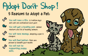 adoptalife.gif