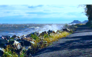 cyclingbysea.jpg.png