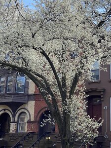 8B94042A-24E4-4E54-8064-B9A59EA21290.jpeg
