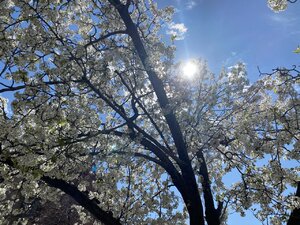 E5214E0E-0ABC-4312-B80E-F771B8A1A1A9.jpeg