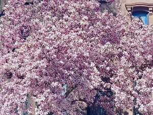049DB8AD-70D8-4217-A75F-55472B3B6338.jpeg