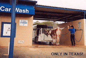 onlytx4.gif