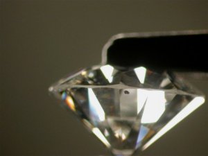 Web 246118MAG4.jpg