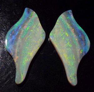 Opal wings.JPG