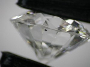Web 246118MAG6.jpg