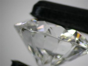 Web 246118MAG5.jpg