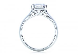 engagement_lucida_lucida2.jpg