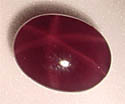 SP00319_a.jpg