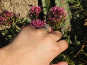 ring6_320x240a.JPG