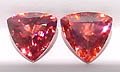 rhodo 2.jpg