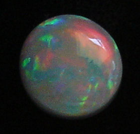 DSC05963.JPG