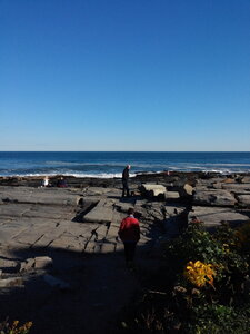 20141005_160652.jpg