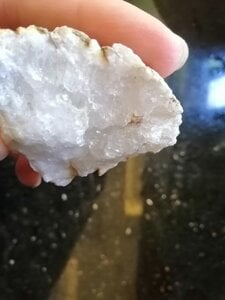IMG_20200403_161332.jpg