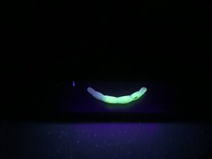 AE1753B3-8CD9-43C9-A90F-DAB2A2CDD2BC.jpeg