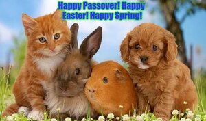 happyeasterandpassover.jpg