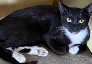 428D5B55-5B18-43DF-93ED-0390E3118D73.jpeg