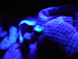 DSCN1015.JPG DSCN1015.JPG