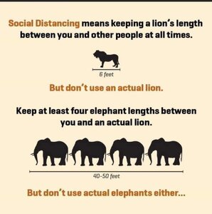 1867469033_SocialDistancinginAfrica.thumb.jpeg.bf0cfb6ea7fd9fa3496e4ee7c93123d1.jpeg