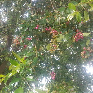 20200407_171223.jpg
