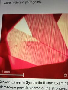 AAA28103-49B0-4CE2-9737-73680AB9741C.jpeg