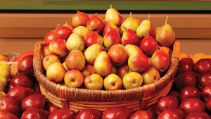 pears.jpg