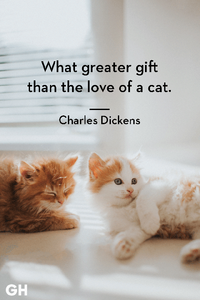 catlovedickens.png