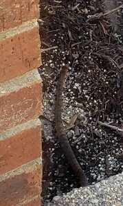 0_20190513_103158.jpg