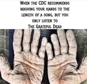 1A2C8A53-B98B-4C19-A1BB-C1C9937EA99D.jpeg