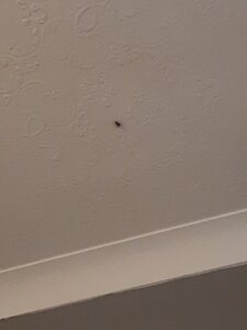 20200419_104458.jpg