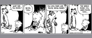calvinandhobbesbeingcool.jpg