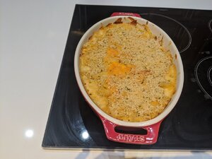 IMG_20200420_131822.jpg