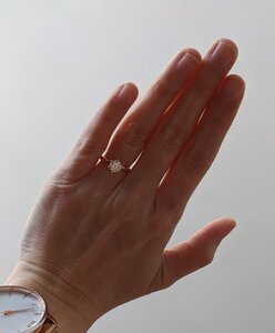 IMG_20200421_162247.jpg