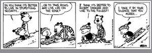 freedomvssecuritycalvinandhobbes.jpg freedomvssecuritycalvinandhobbes.jpg