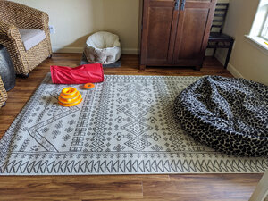 office rug.jpg