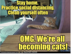 C9D079B3-9817-4CBA-A309-872BE1E4EB6C.png