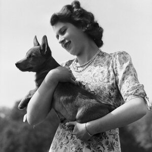 then-princess-elizabeth-was-given-her-pet-susan-on-her-18th-birthday.jpg