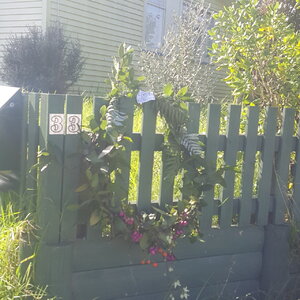 20200425_123805.jpg