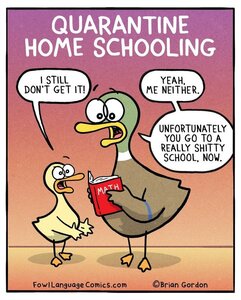 homeschoolnotgreat.jpg