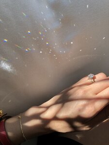 C840A188-8082-482A-B778-1DA5F50E7C66.jpeg